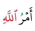 DONT DELETE