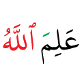 DONT DELETE
