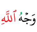 DONT DELETE