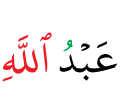 DONT DELETE